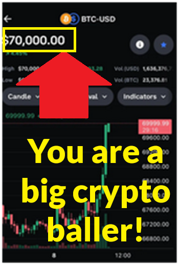 crypto scam big money on a screen
