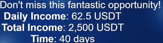 aiis investment plan