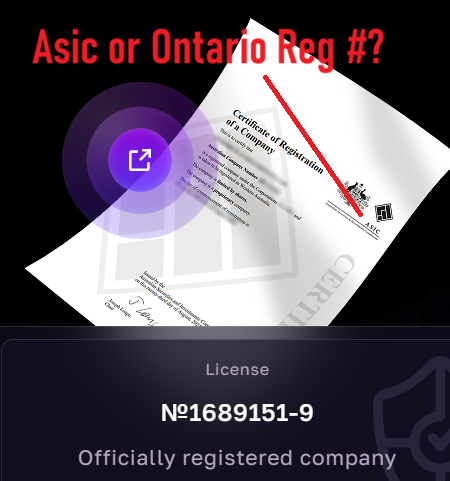 aintuition.io corporations registration